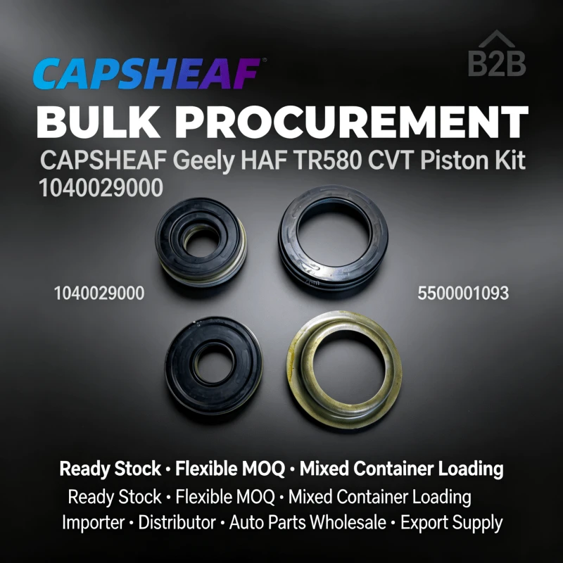 Piston Kit 1040029000 5500001093 For Geely HAF TR580 CVT factory