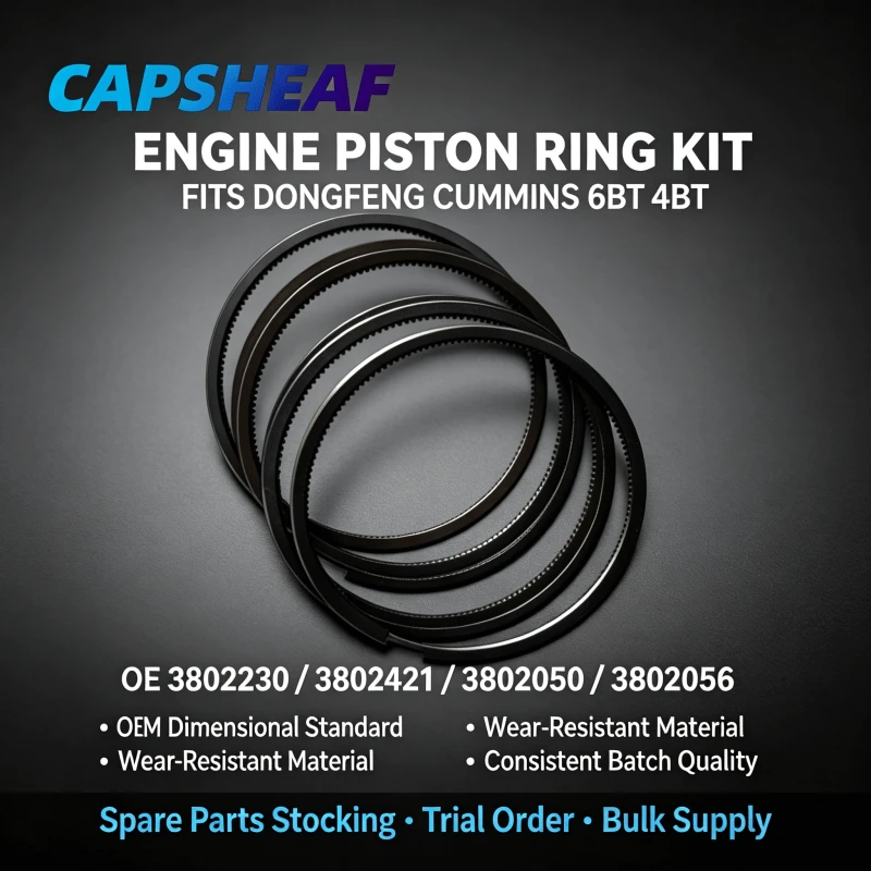 Piston Ring 3802230 3802421 3802050 3802056 For Dongfeng CUMMINS 6BT/4BT factory