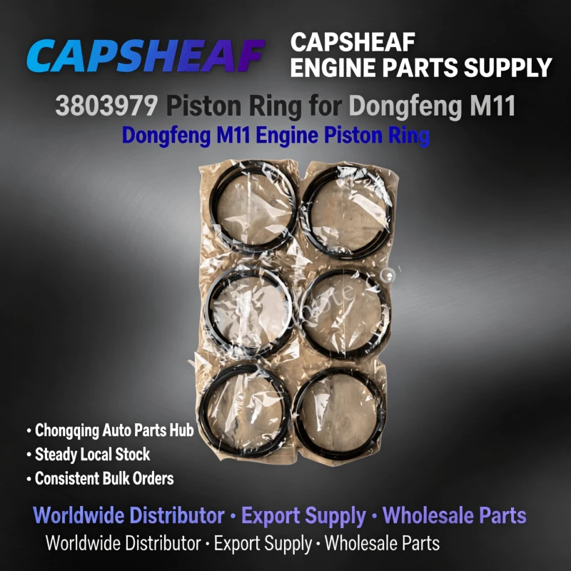 Piston Ring 3803977 For Dongfeng M11 Engine suppliers